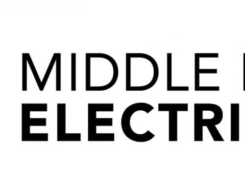 Middle East Electricity Dubai Fuarı